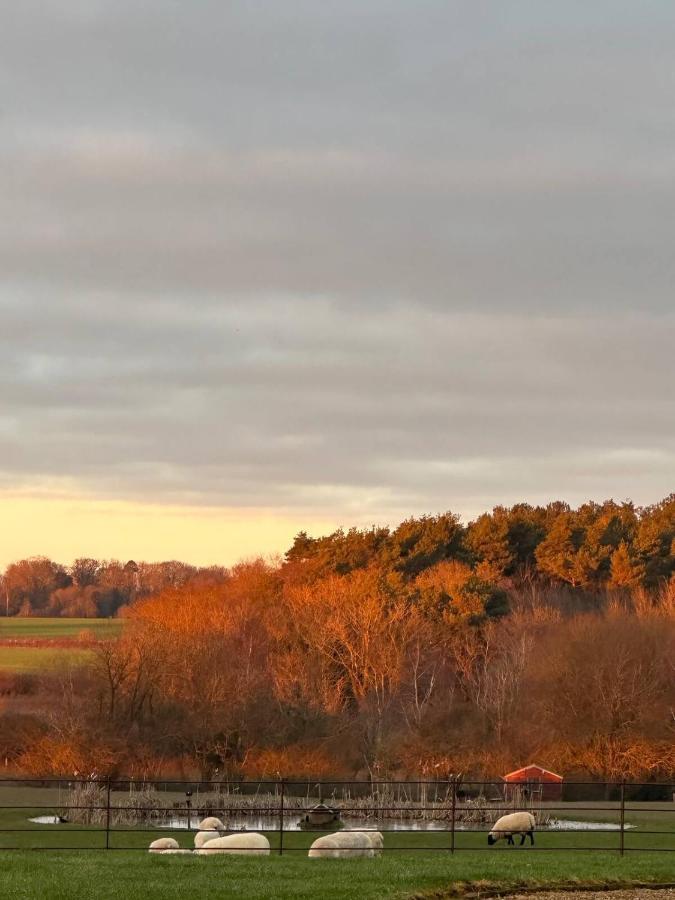 Bed and Breakfast The Pheasantry Wymondham  Exteriér fotografie