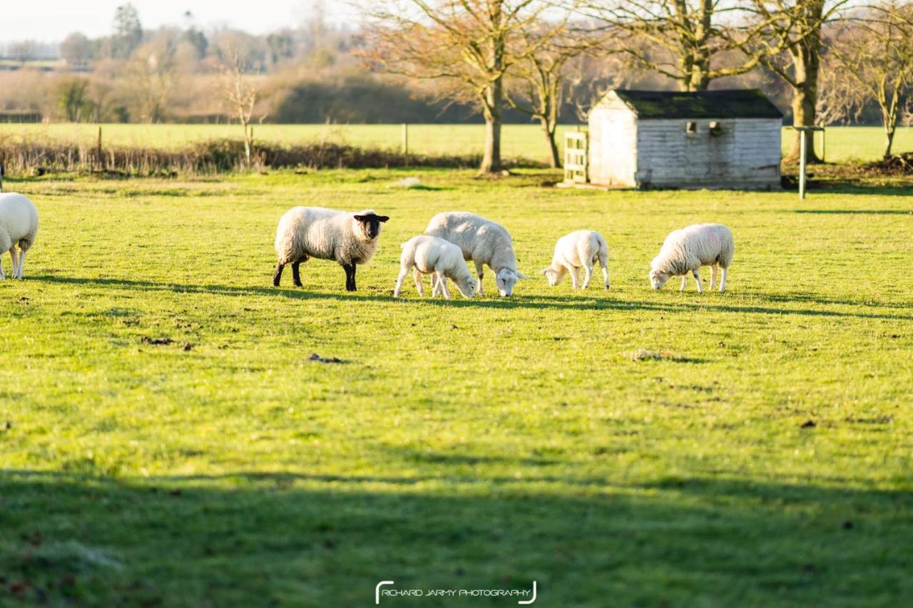 Bed and Breakfast The Pheasantry Wymondham  Exteriér fotografie
